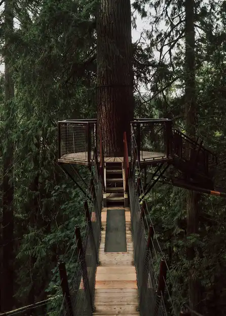 Pont suspendu en pleine forêt près de maisons à vendre dans les Laurentides